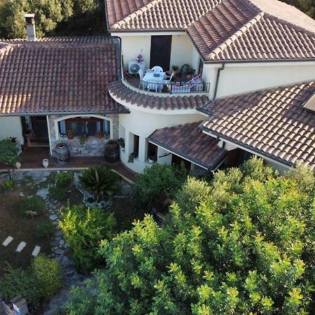 B&B Ottoulivi Сардара Экстерьер фото