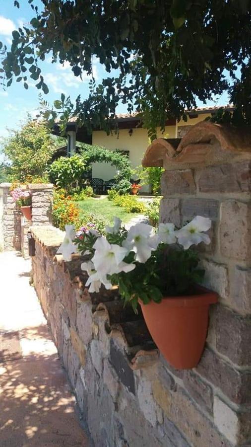 B&B Ottoulivi Сардара Экстерьер фото