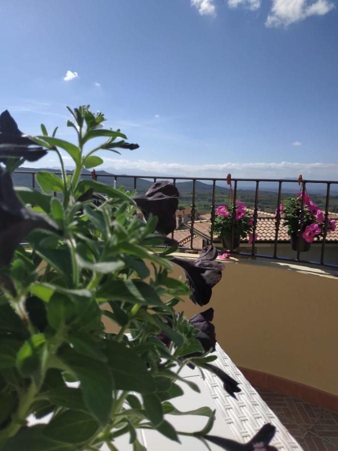 B&B Ottoulivi Сардара Экстерьер фото